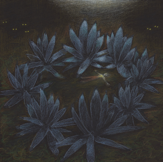 Elizabeth Shull, Safety, 2021