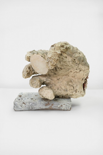 Jody Baral, Round or Elliptical, 2026