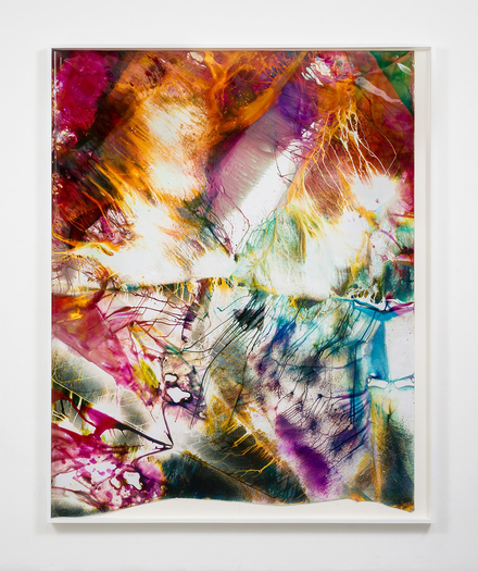 Mariah Robertson, 269, 2014