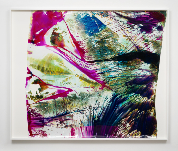 Mariah Robertson, 291, 2014