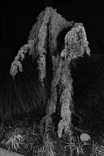 Jason Nocito, Untitled (depression), 2012