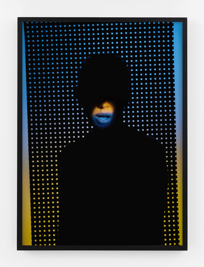 Hannah Whitaker, Speak, 2019