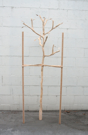 Isaac Resnikoff, Sapling Tree, 2010