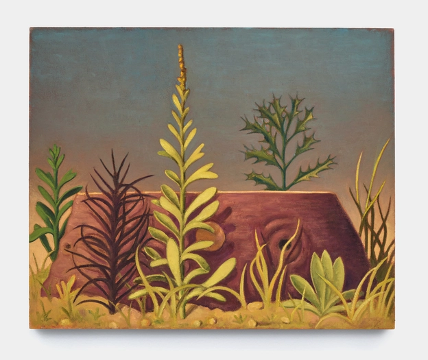 Nat Meade, Weeds, 2024