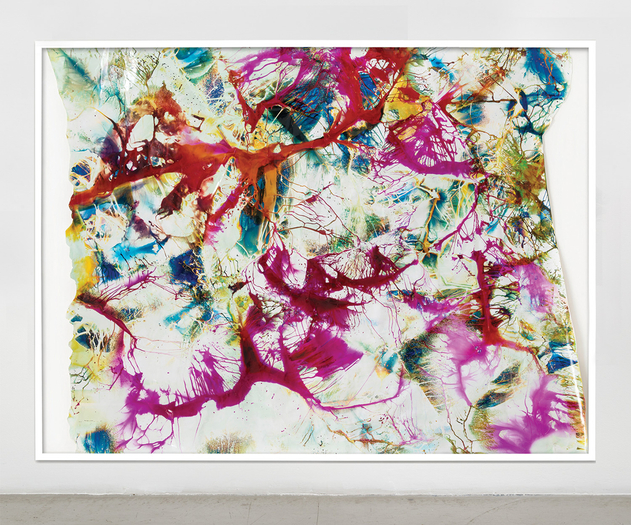 Mariah Robertson, 001, 2016