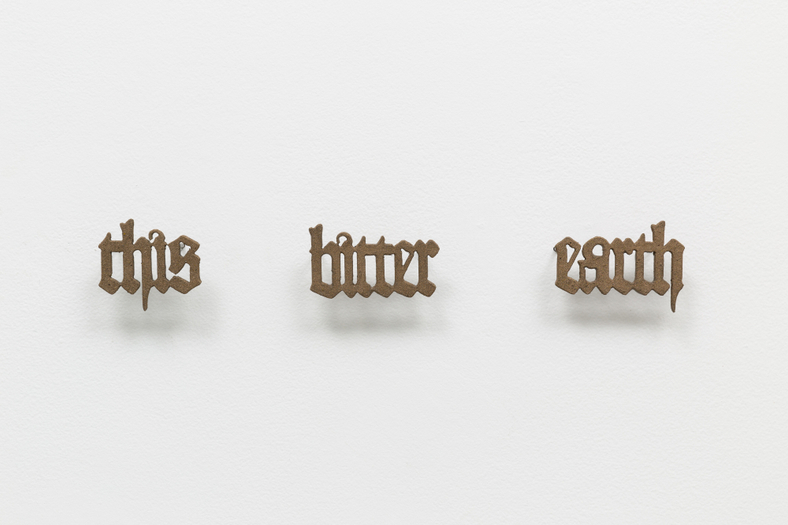 Tyler Christopher Brown, This Bitter Earth, 2023