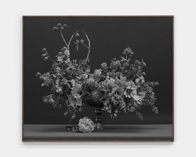 Jessica Eaton, MF 08 v01, 2014-2022