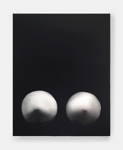 Kara Joslyn, Nature is a language (cant you read?), 2018