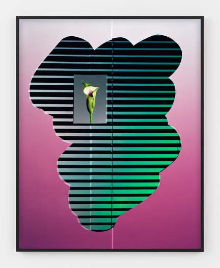 Hannah Whitaker, The Flower, 2019