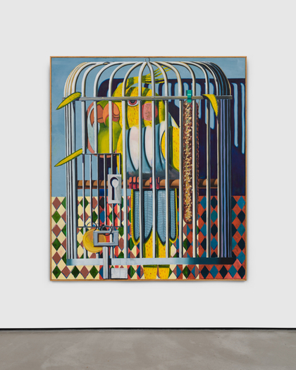Kristof Santy, Vogelkooi (bird cage), 2022