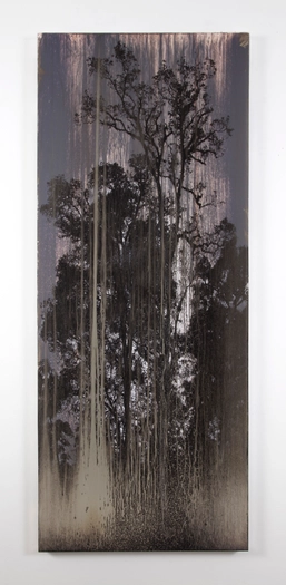 Matthew Brandt, AgXB751B, 2019