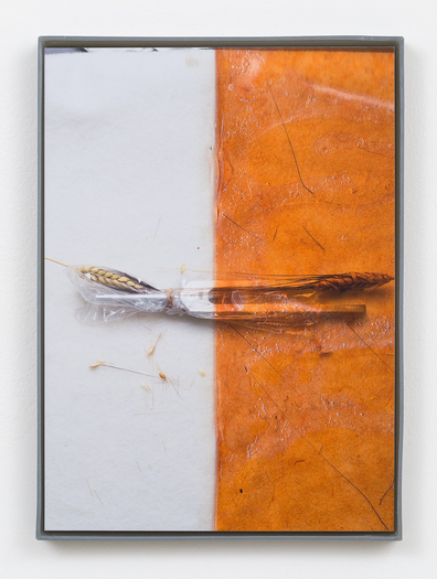 Jesse Stecklow, Untitled (Fly tapes: Potential Derivatives), 2015
