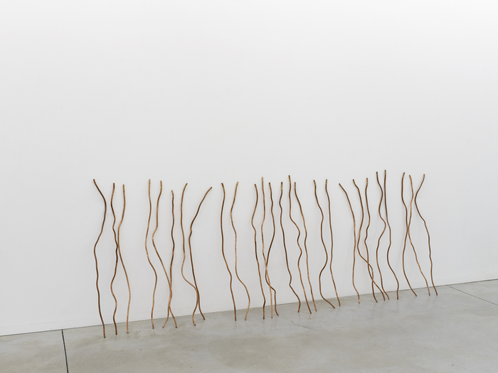 Evi Vingerling & Chaim van Luit