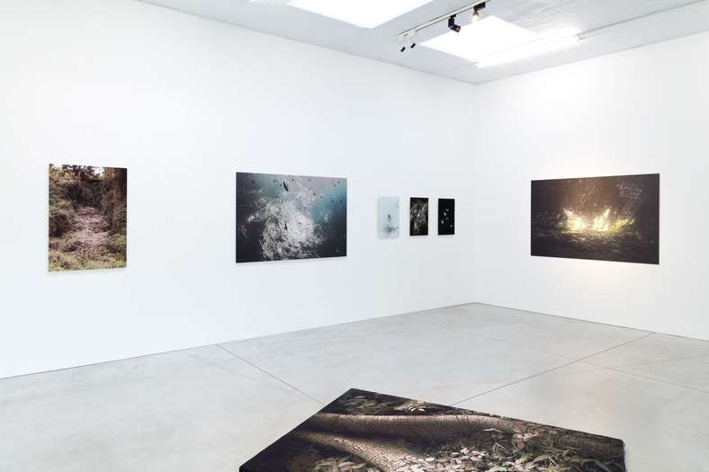 Léonard Pongo | Primordial Earth, Interpretations