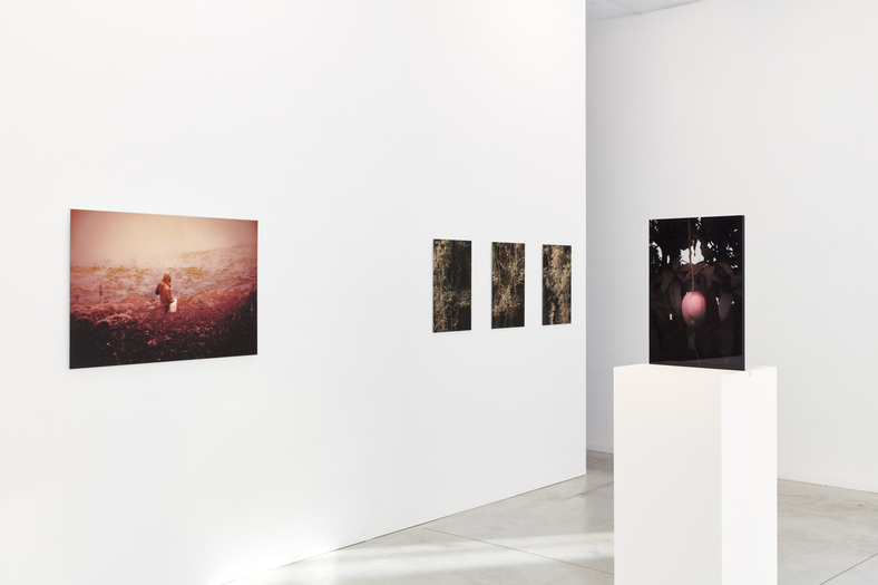 Léonard Pongo | Primordial Earth, Interpretations