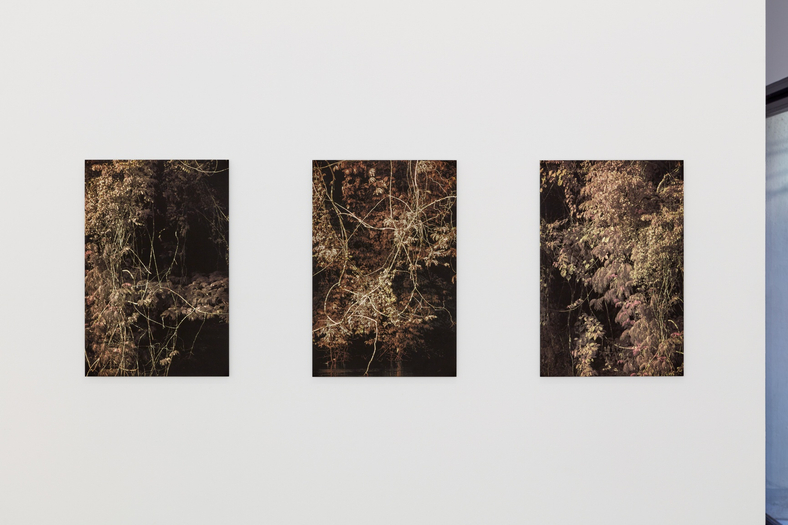 Léonard Pongo | Primordial Earth, Interpretations