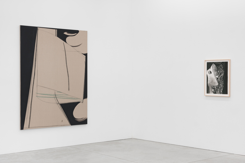 Aurélie Gravas | Faces