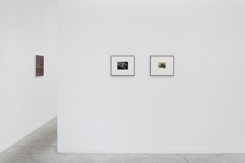 Dream the Dream that Dreamers Dream