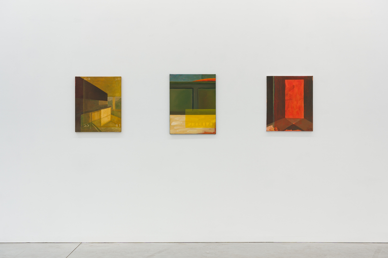 Agnes Maes | Weelderig Licht / Luscious Light