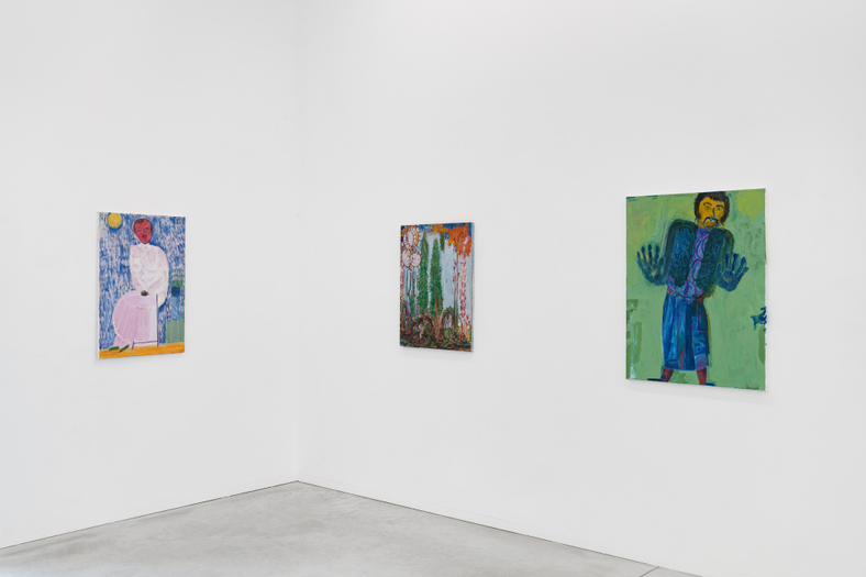 Dirk Zoete | Splinter Blossom