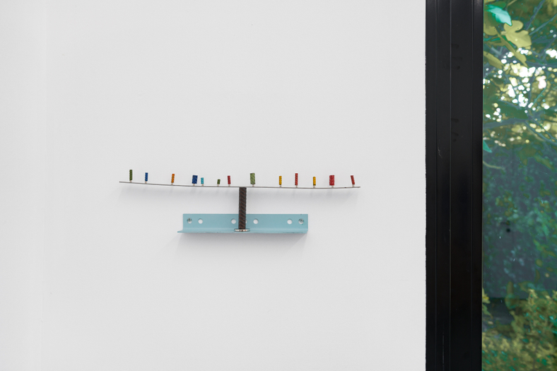 Dirk Zoete | Splinter Blossom