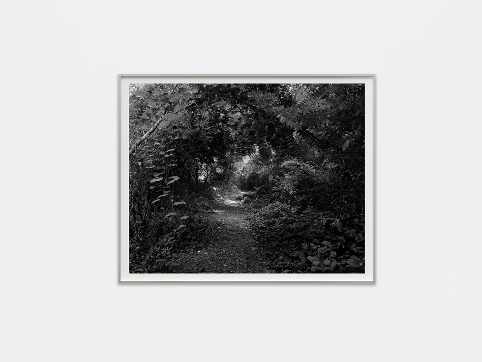 Dawoud Bey in Life on Land