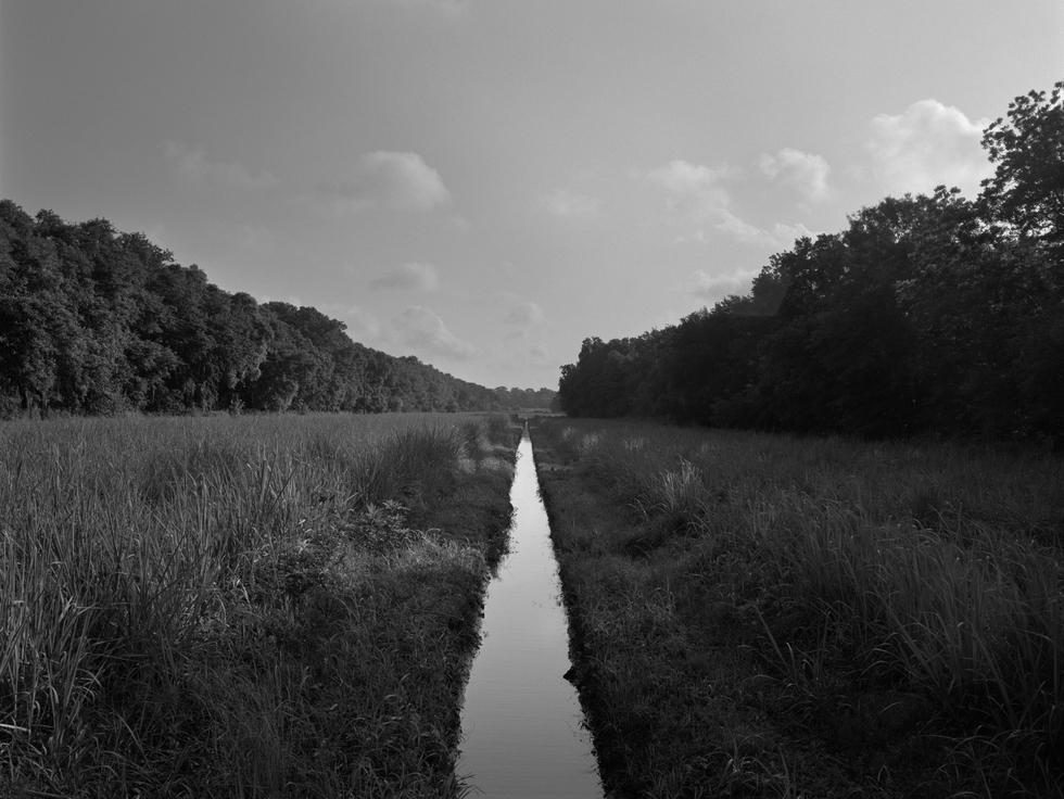 Dawoud Bey in Containing Multitudes