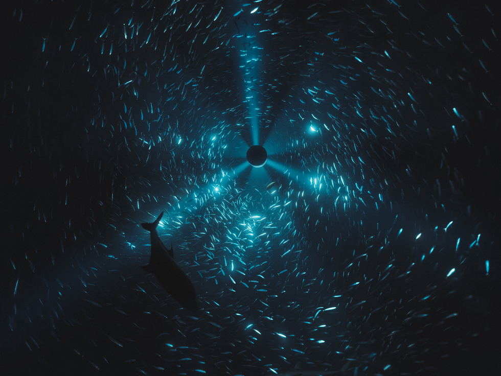 Julian Charrière: Midnight Zone